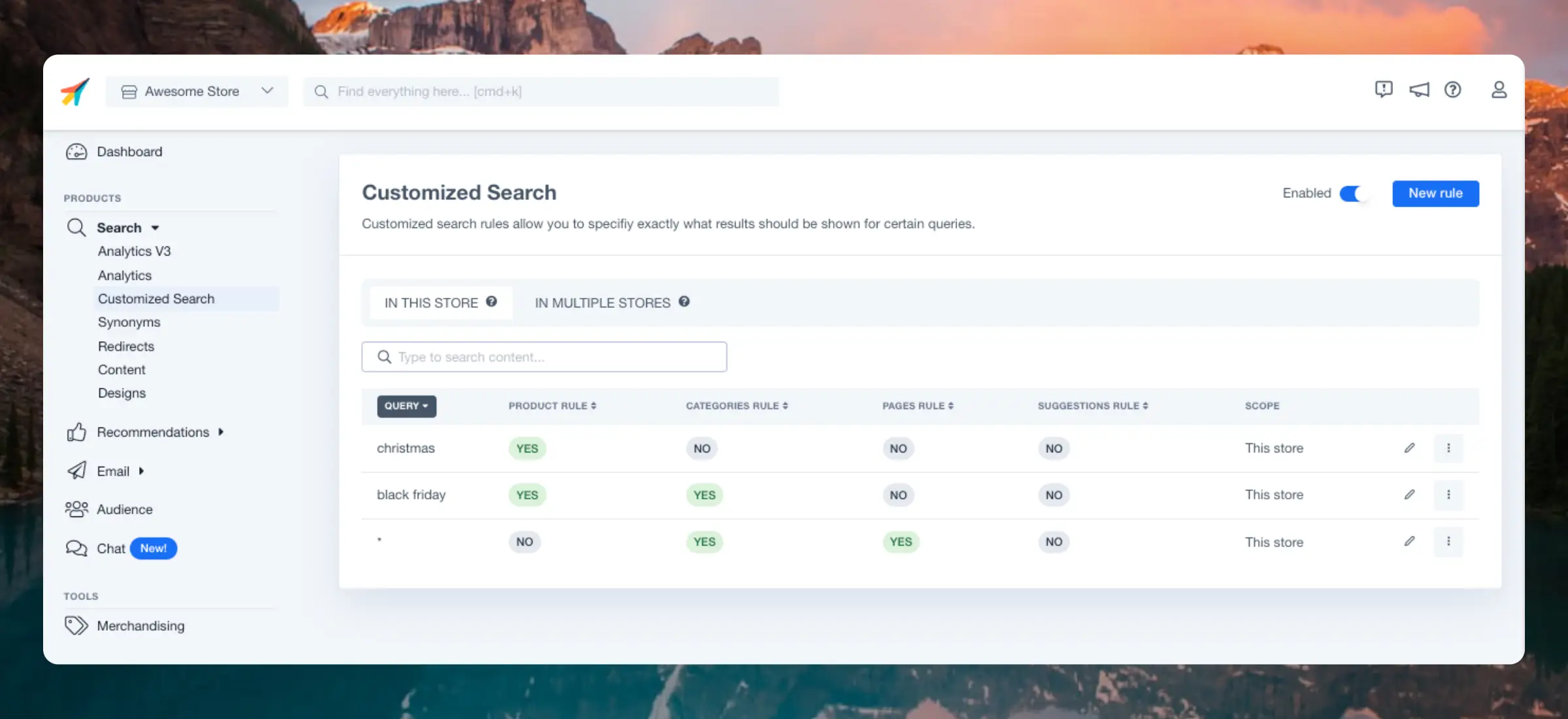 Customized Search Overview